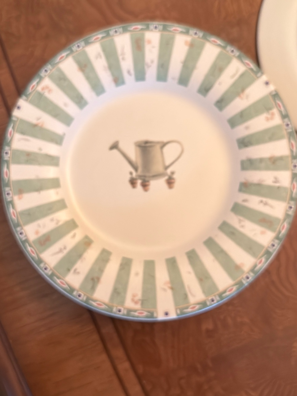 Pfaltzgraff Naturewood Salad Plates Set of 4‎